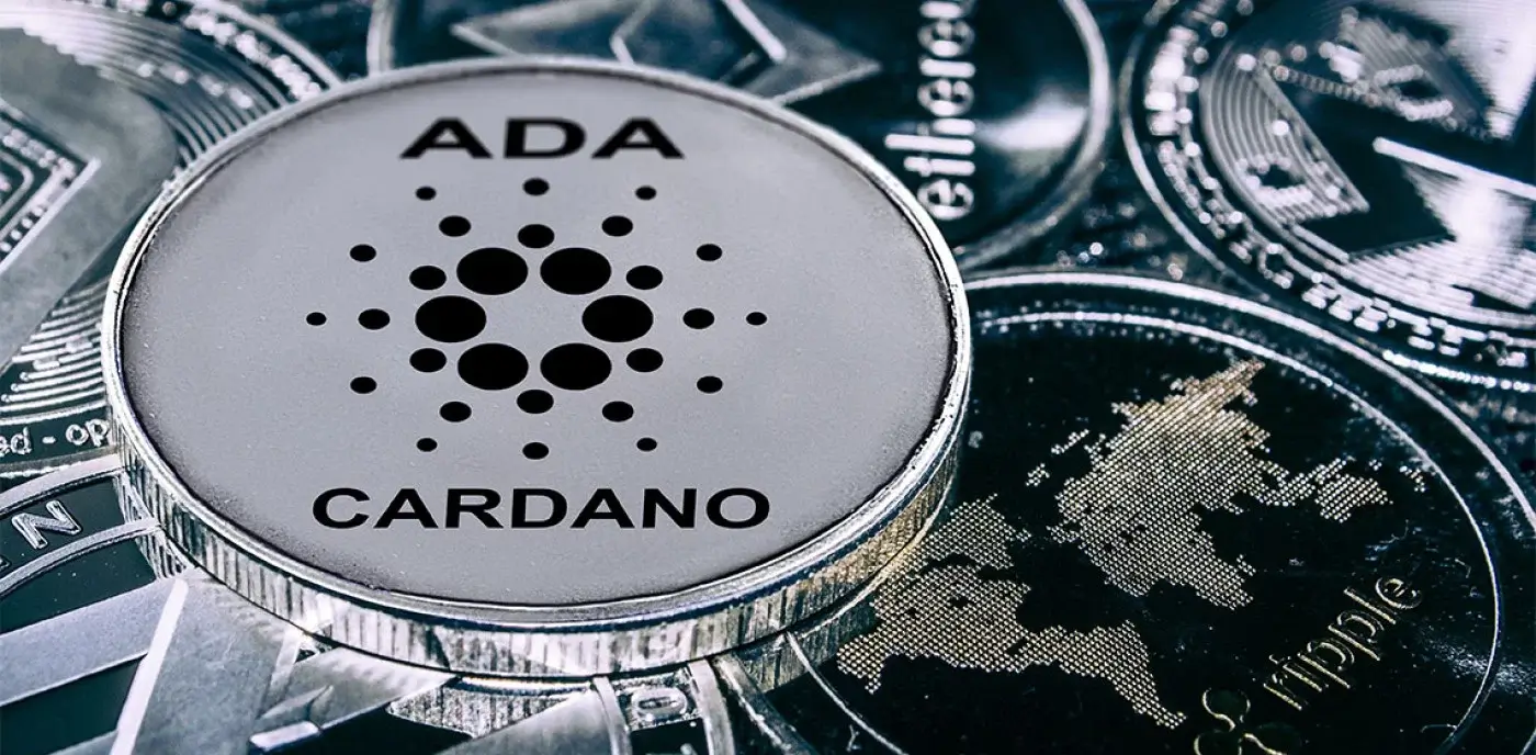 Cardano