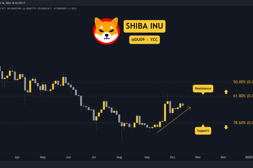 Прогноз цен на сиба-ину (SHIB) на эту неделю