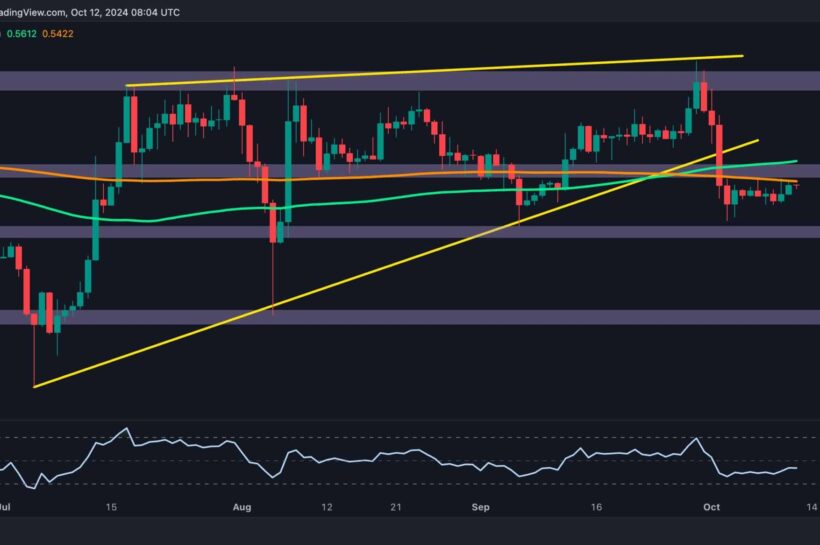 Ripple Price Analysis: Is XRP Headed to $0.5 or $0.6 Next?