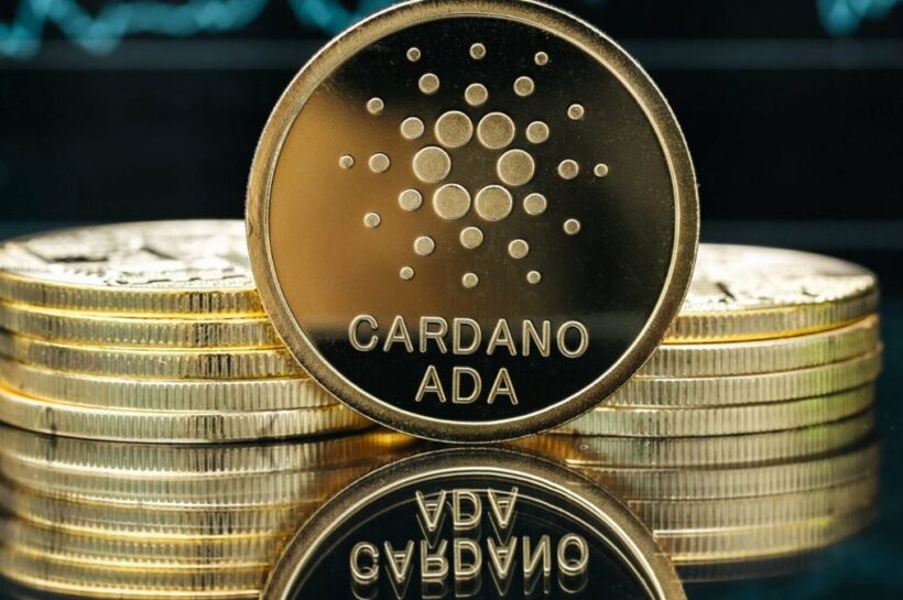 Ралли Кардано набирает обороты: эксперты видят скачок вперед на 750%