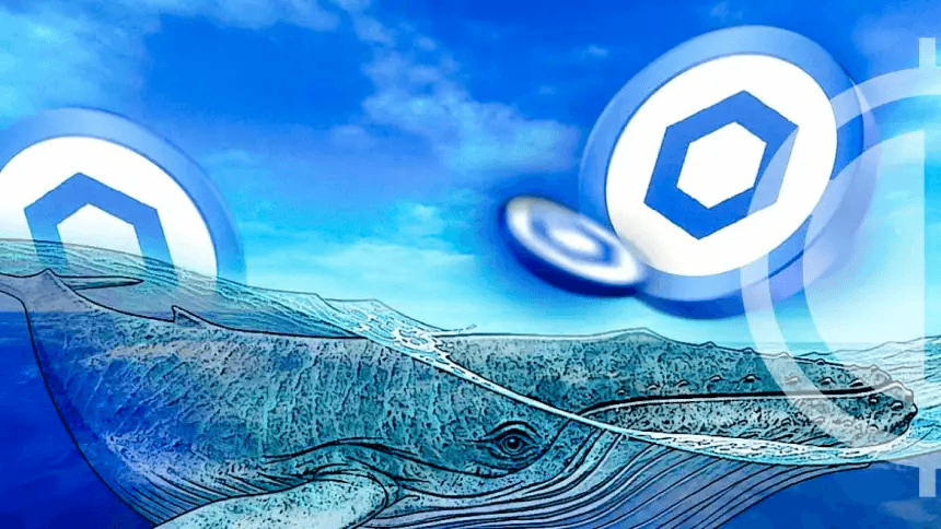 Chainlink Whales накопили 77 миллионов долларов LINK на фоне коррекции цен – подробности
