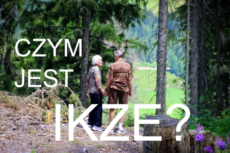 ИКЗЕ – что это?