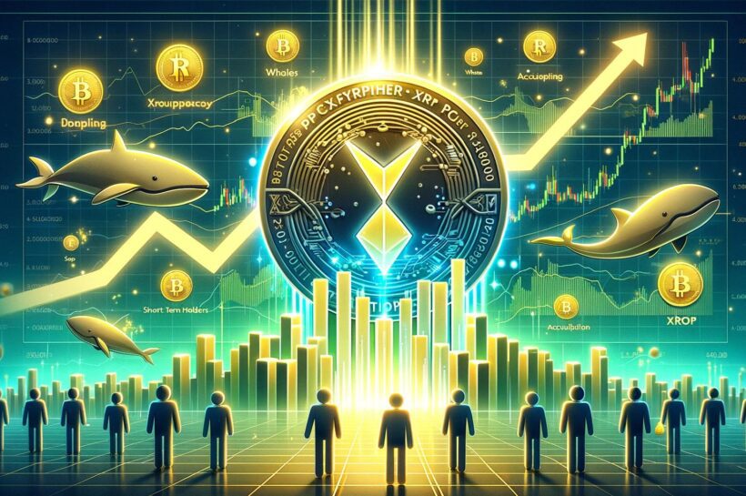 XRP достиг 6-летнего максимума – киты и STH накапливаются вместе