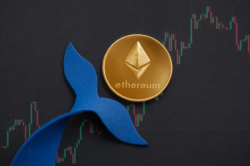 После слияния доля Ethereum Whales удвоилась до 43% – подробности