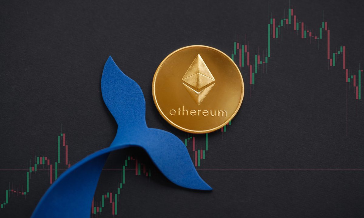 После слияния доля Ethereum Whales удвоилась до 43% – подробности