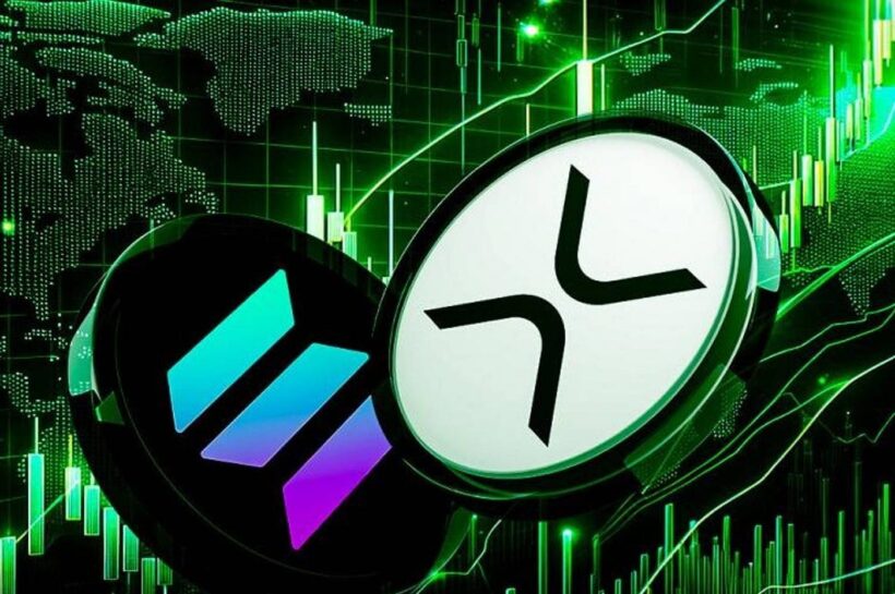 Крупные игроки делают большие ставки на XRP, Солана с волнением вокруг президентства Дональда Трампа, вот цифры