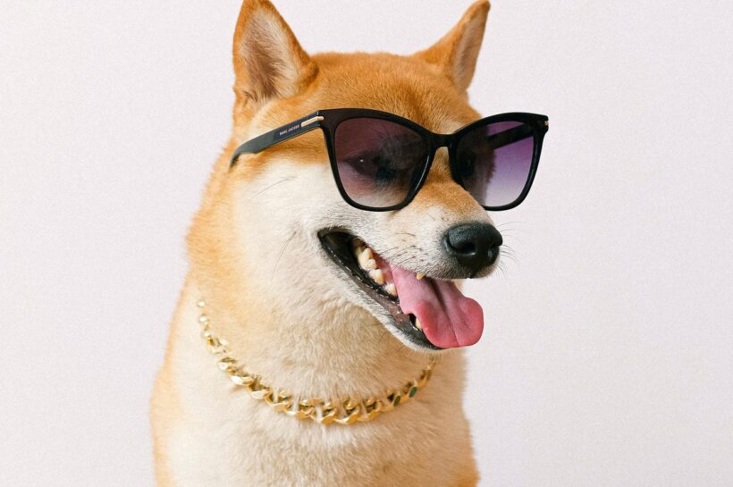 Dogecoin до $ 1,35? Аналитик предсказывает веху «в течение 70 дней»