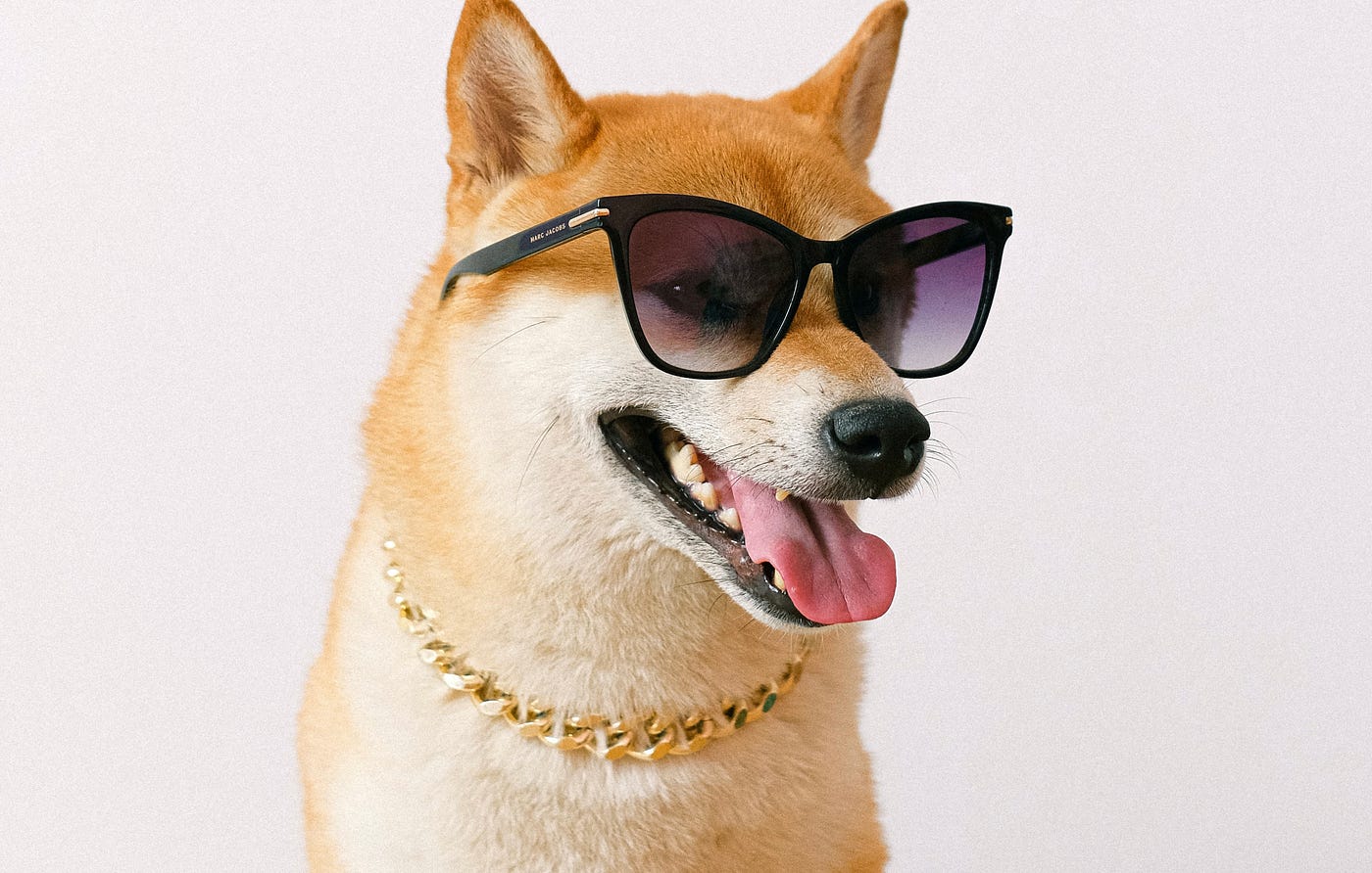 Dogecoin до $ 1,35? Аналитик предсказывает веху «в течение 70 дней»