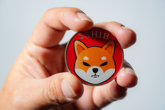 Shiba Inu Bears Roav: Удаст ли Шиб 0,00001272 на фоне рыночной распродажи?
