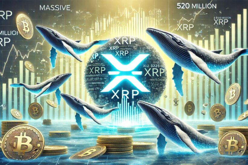 Массовое накопление XRP - киты купили 520 миллионов XRP во время рыночного падения