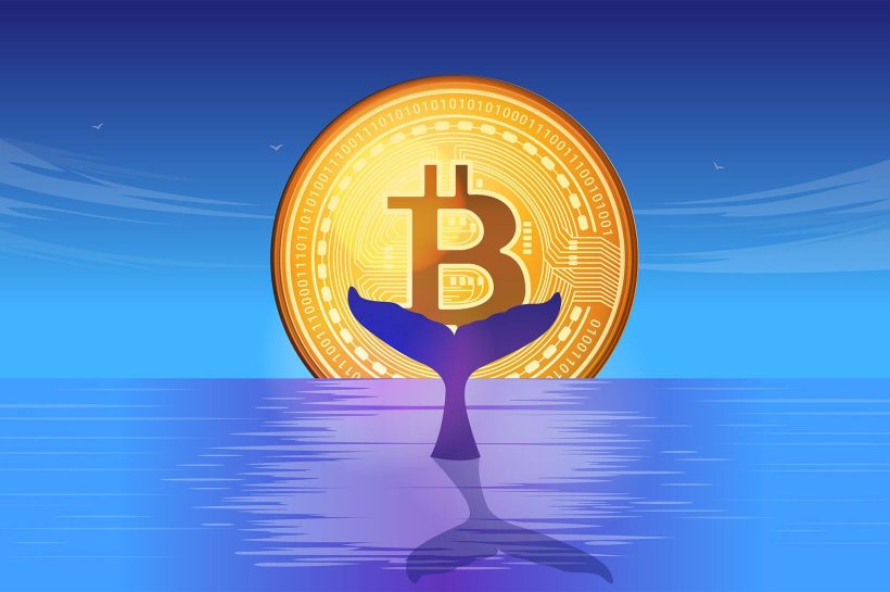 1 миллион биткойнов в новых руках китов - митинг мега BTC на горизонте?