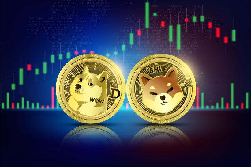 Почему цены на Dogecoin и Shiba Inu выросли более 10%?