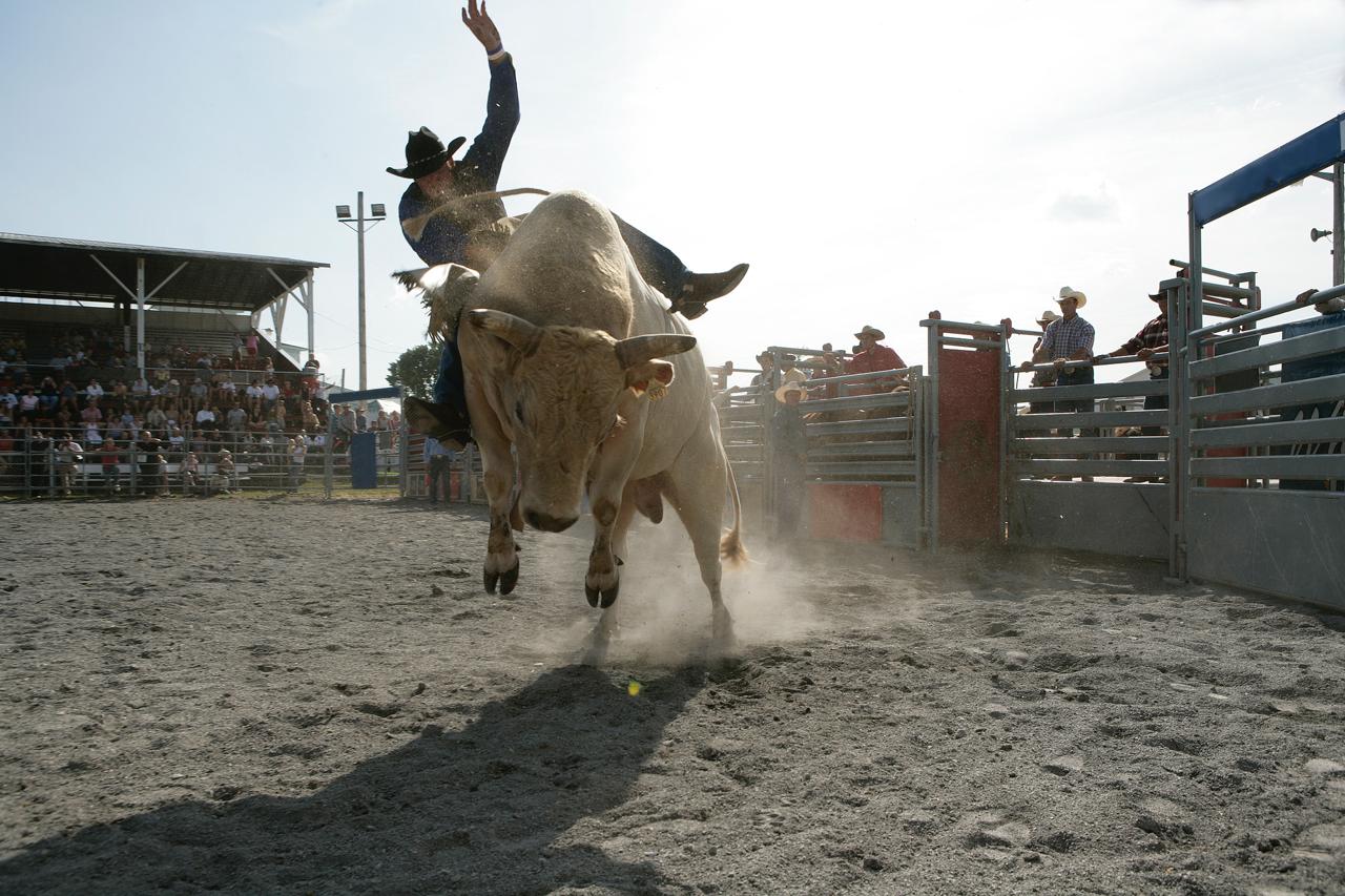 Bitcoin Bull Ran Back? Daily RSI показывает только мягкий бычий импульс
