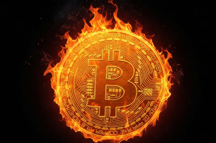 Trump Trade News выживает биткойн -манию - наступает 100 тысяч долларов?