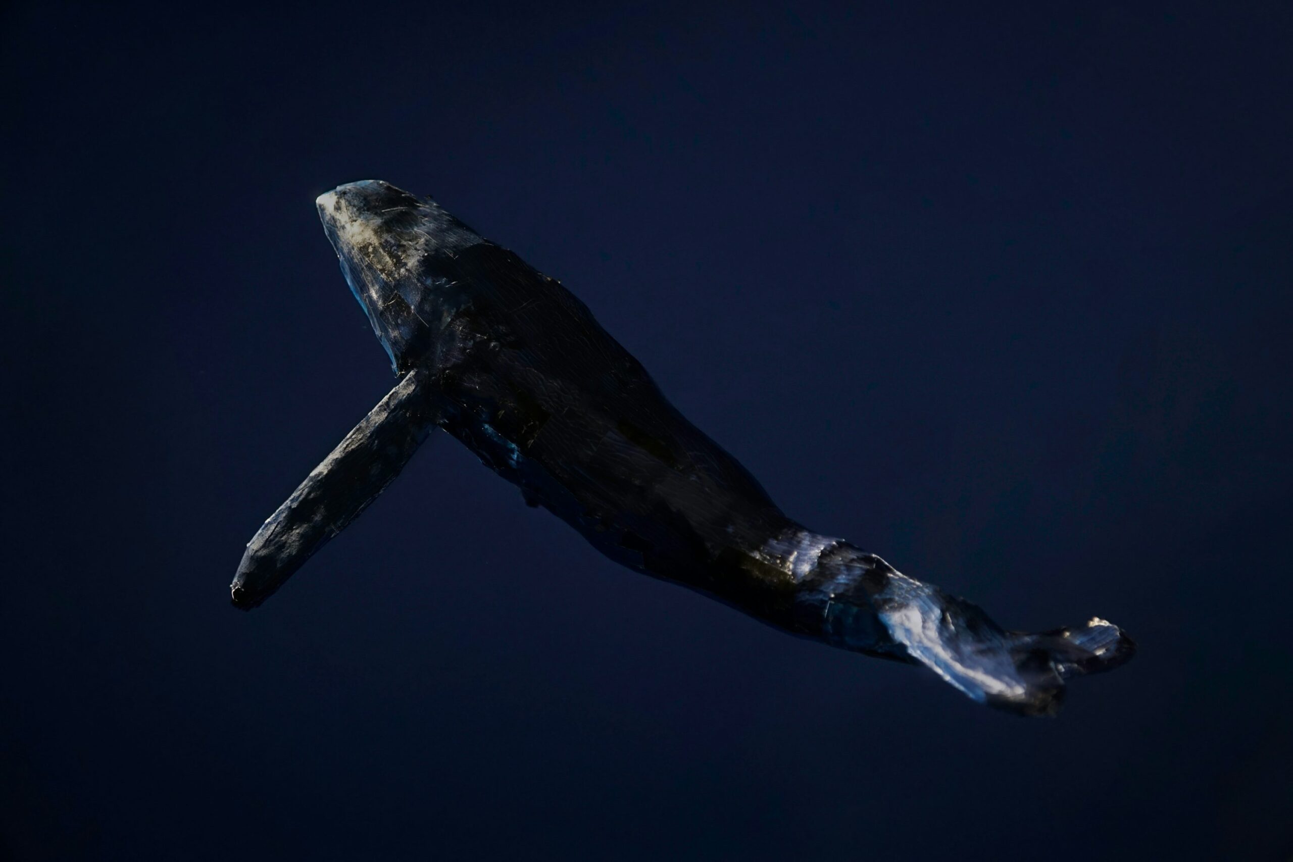 Dermant Whale продает $ 80 000 BTC, но Bitcoin Bulls все еще контролируется