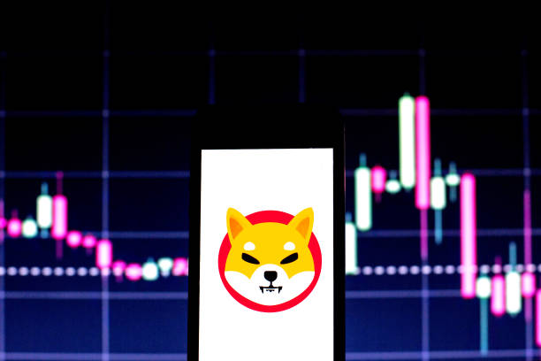 Shiba Inu Exchange резервы достигли самого низкого уровня с 2023 года - почему цена может следовать