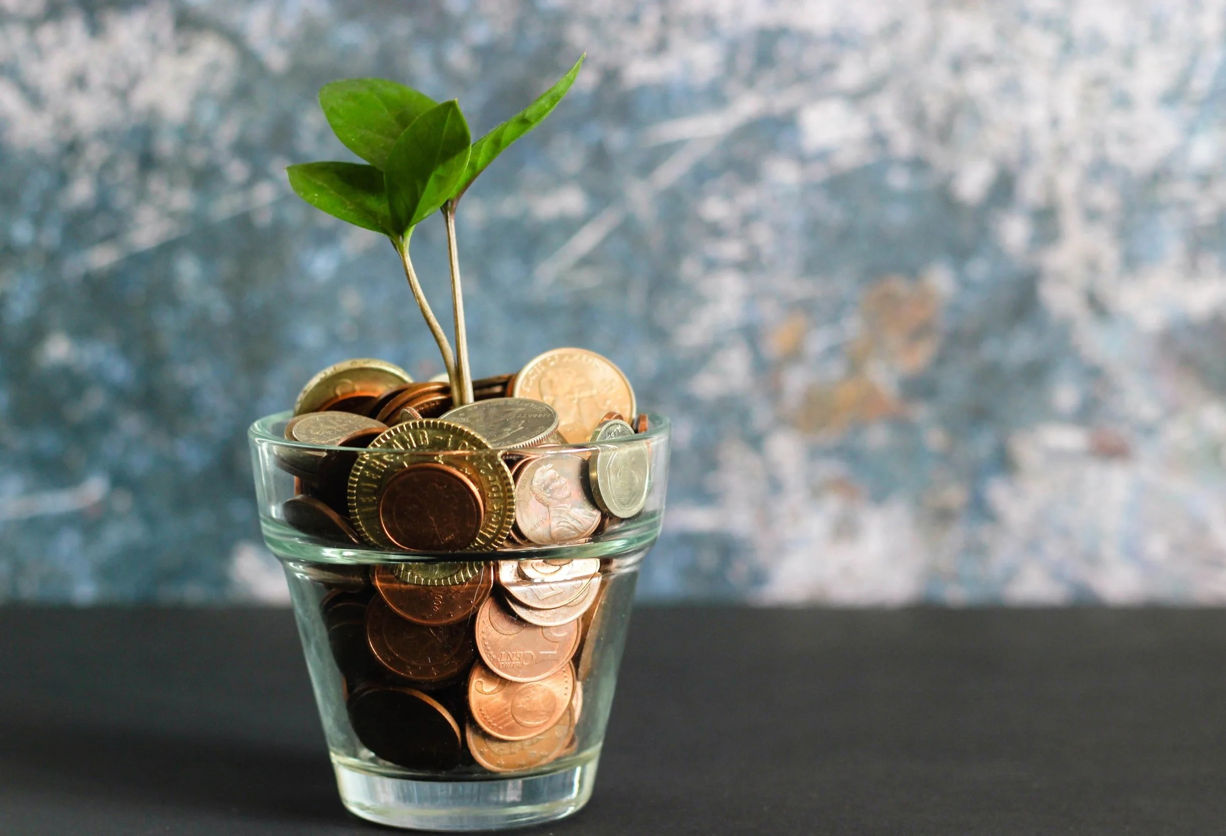 XRP получает пенсионный поворот: эксперт называет это 401 (k)