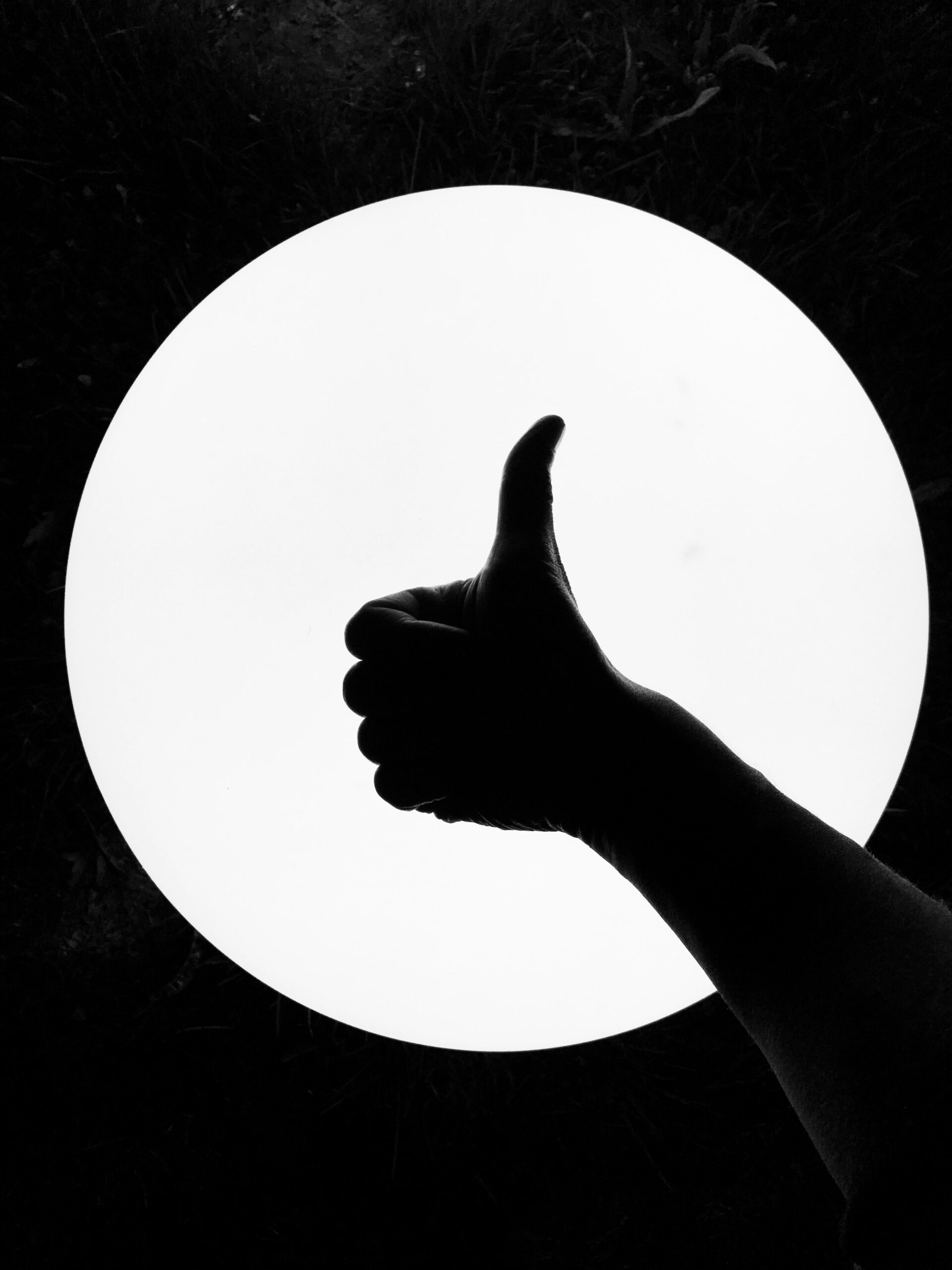 Thumzup Thumzup приносит 50 миллионов долларов США, объединяет добычу Dogecoin с планами XRP