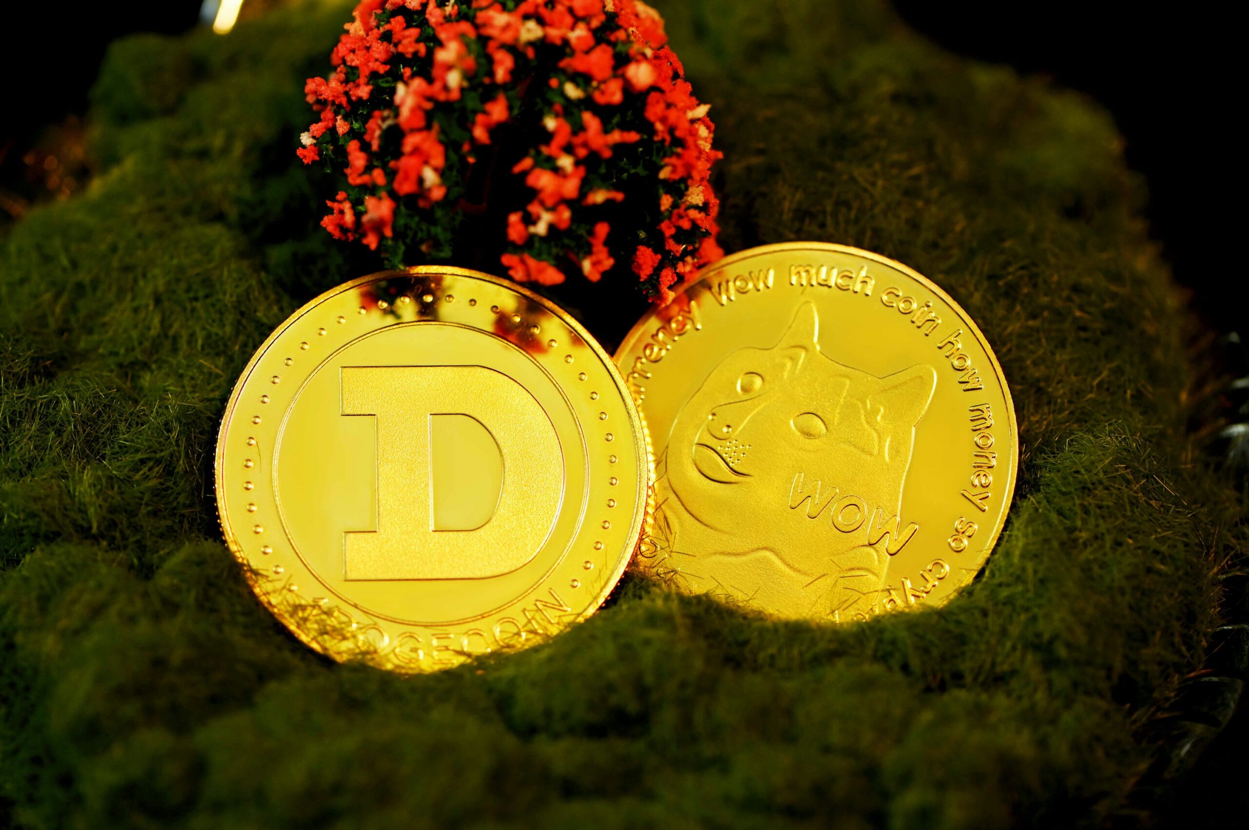 Киты Dogecoin незаметно накопили более 320 миллионов монет — что будет дальше?