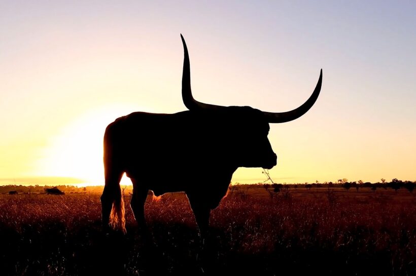 XRP вызывает бычье безумие, поскольку ведущий разработчик программного обеспечения говорит, что он превосходит ажиотаж вокруг ETF