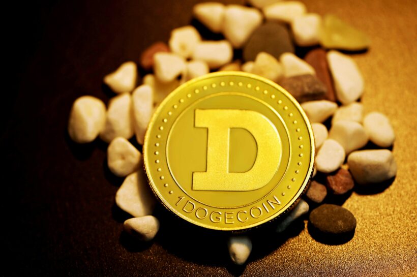 Dogecoin упал на 20% – но некоторые думают, что именно тогда начнется настоящая прибыль