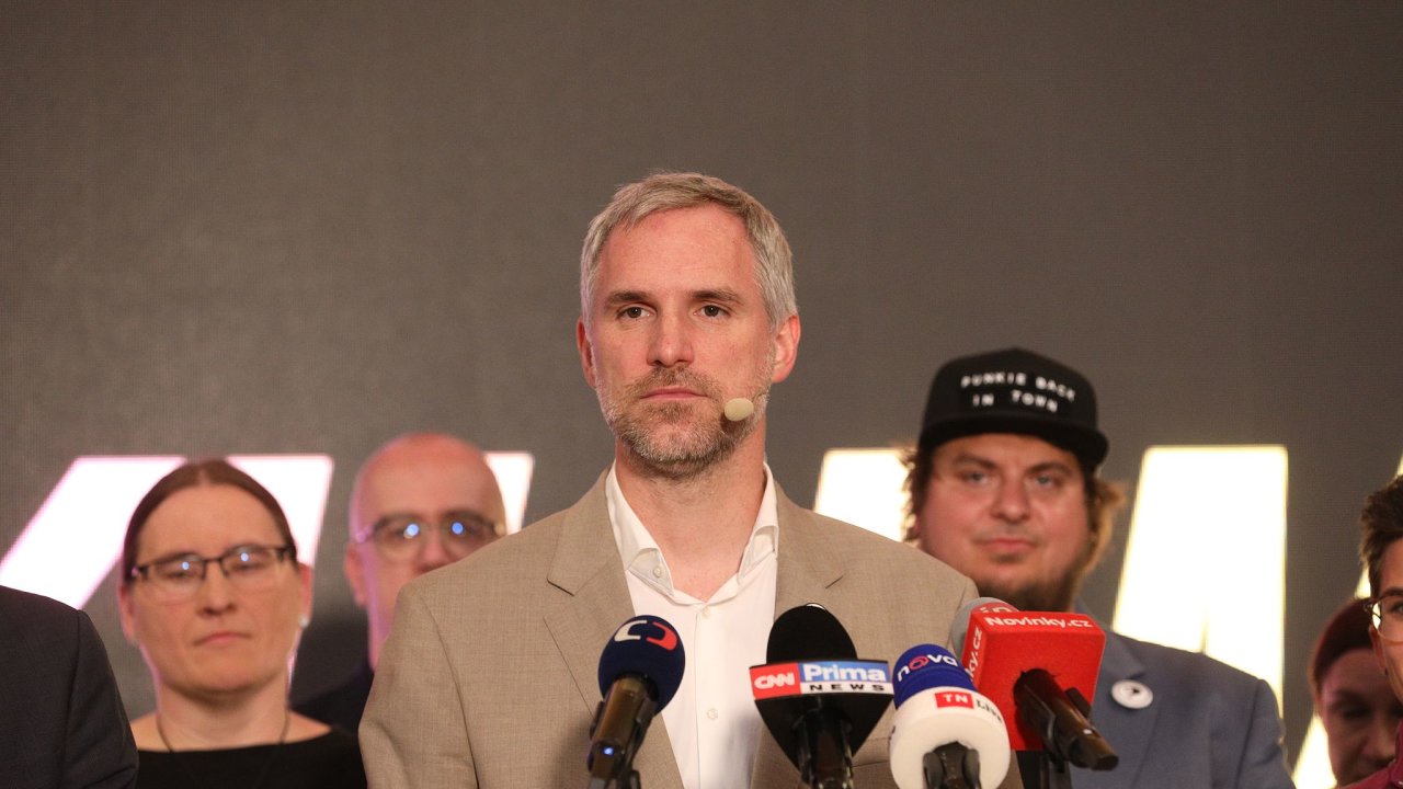 Борьба за места в парламенте: могут быть созданы подкомитеты по криптовалютам или защите животных. Пиратам снова не повезло