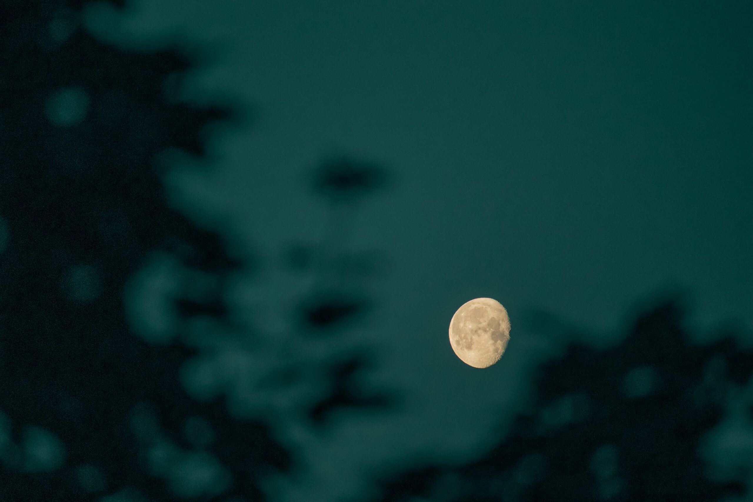 Биткойн достигнет $200 триллионов? Генеральный директор делает смелый прогноз