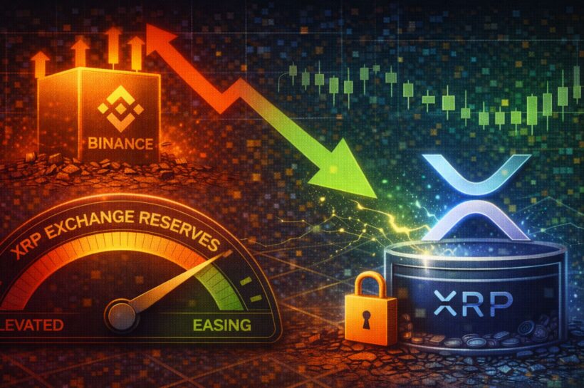 Биржевые резервы XRP на Binance упали до шестимесячного минимума: давление продавцов ослабевает