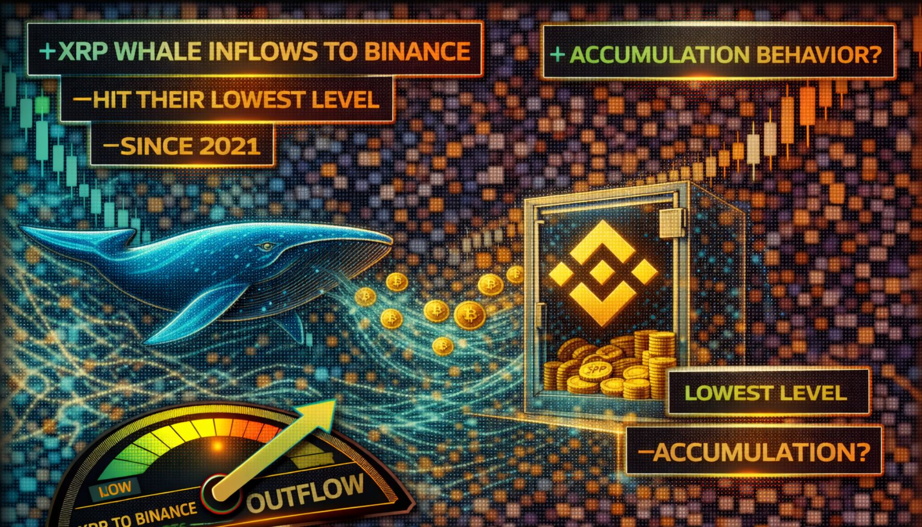Приток XRP-китов на Binance достиг самого низкого уровня с 2021 года: поведение накопления?