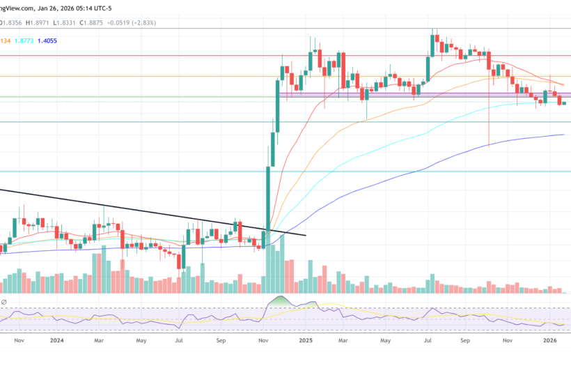 Разработчик утверждает, что перегрузка реестра XRP может сжечь 1 миллиард монет в год