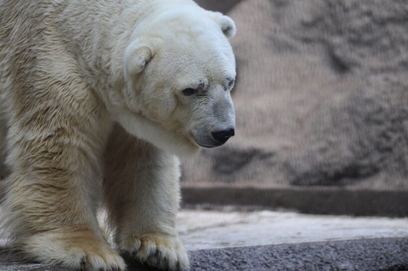 Криптоиндустрия готовится к большим встряскам, ожидается масштабная консолидация: генеральный директор