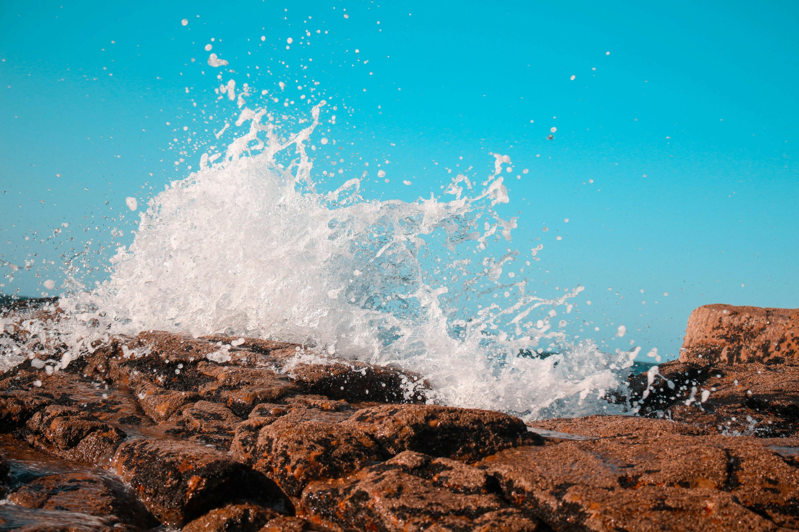 Более 40% альткойнов достигают дна — и эксперты говорят, что это хуже, чем последний крах